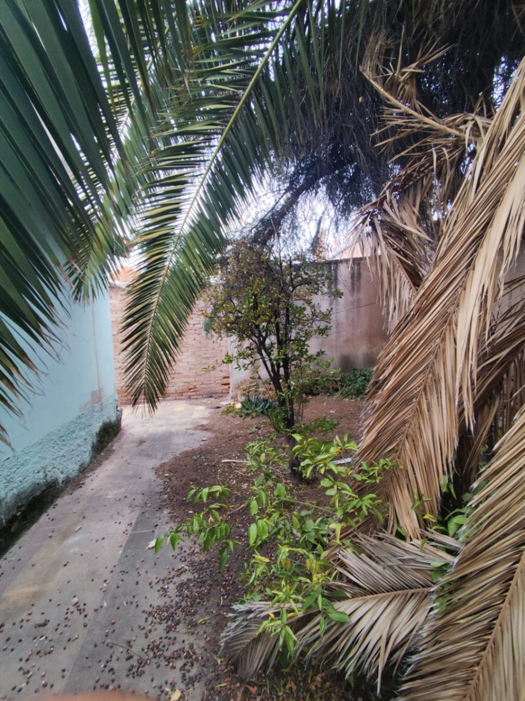 Terreno en Venta en Godoy Cruz, Mendoza - USD 50.000 | Inmoup - 10