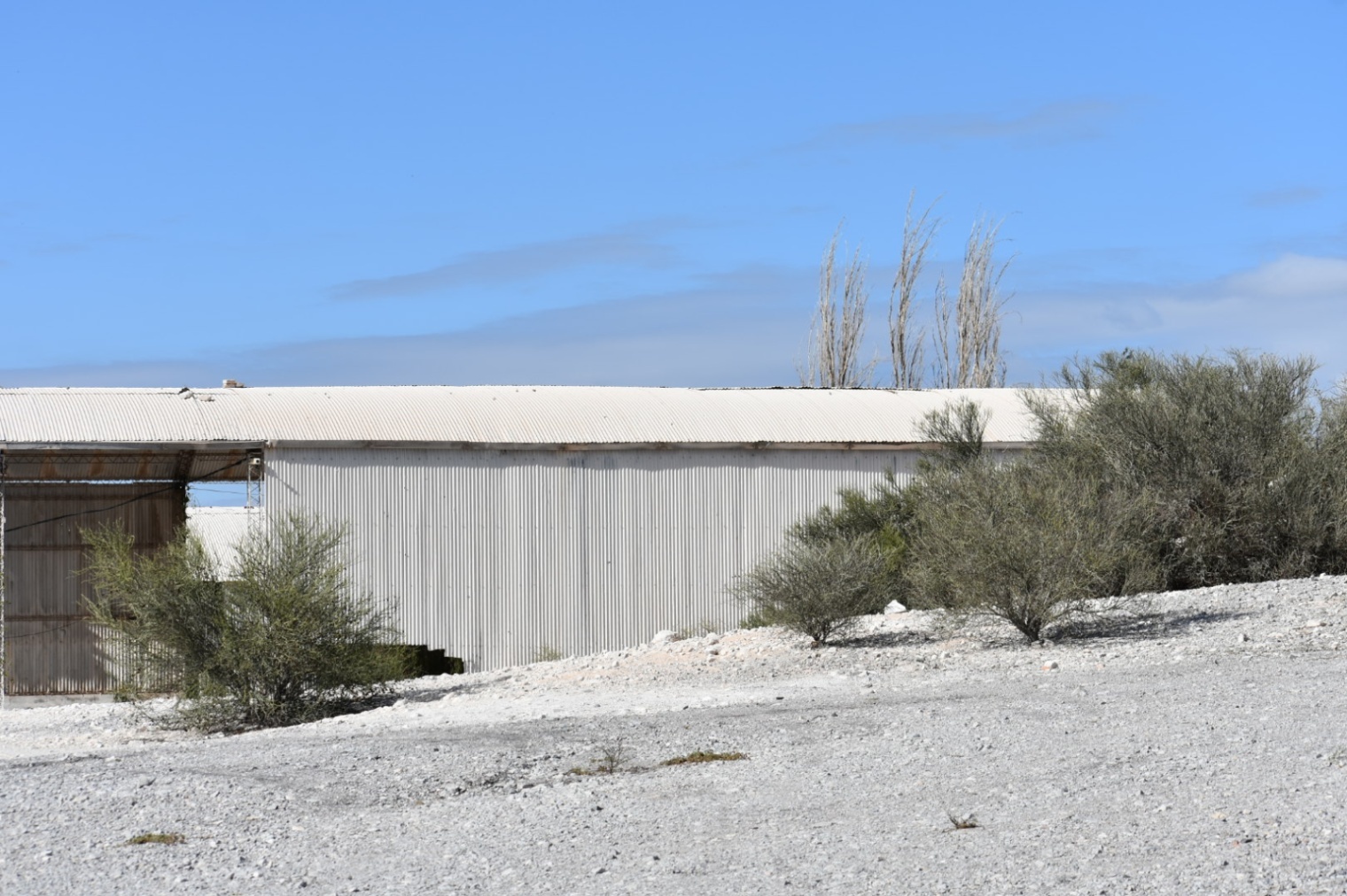 Cap. Sarmiento los berros