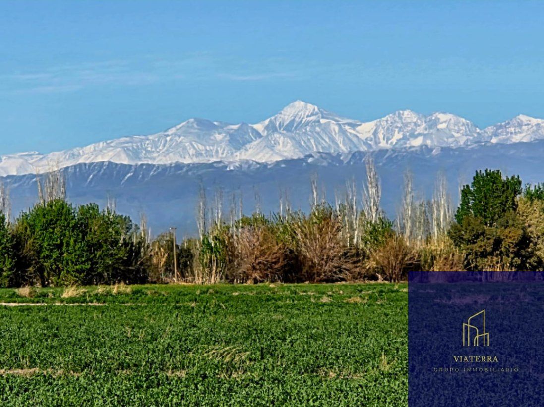 Finca en Venta en Lavalle, Mendoza
