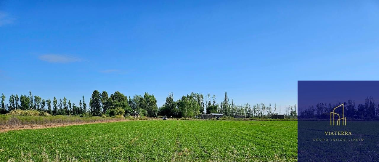 Finca en Venta en Lavalle, Mendoza