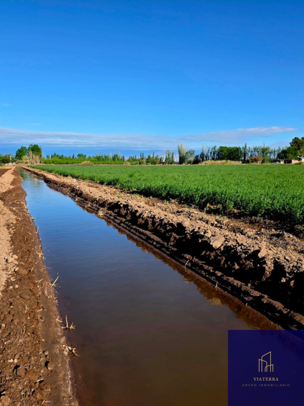 Finca en Venta en Lavalle, Mendoza
