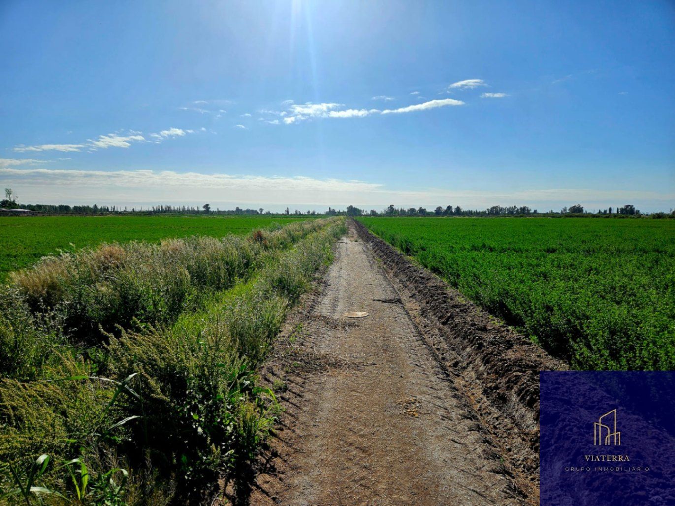 Finca en Venta en Lavalle, Mendoza