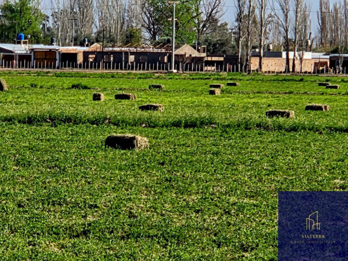 Finca en Venta en Lavalle, Mendoza