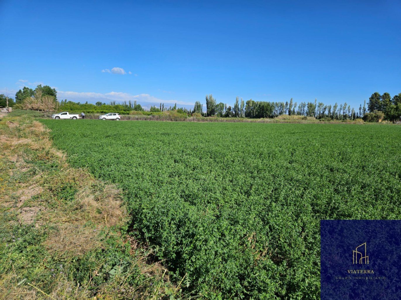 Finca en Venta en Lavalle, Mendoza
