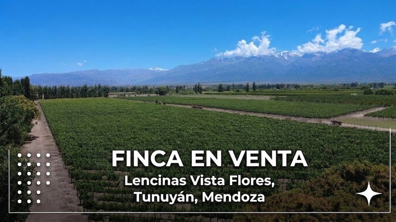 Finca en Venta en Tunuyan, Mendoza