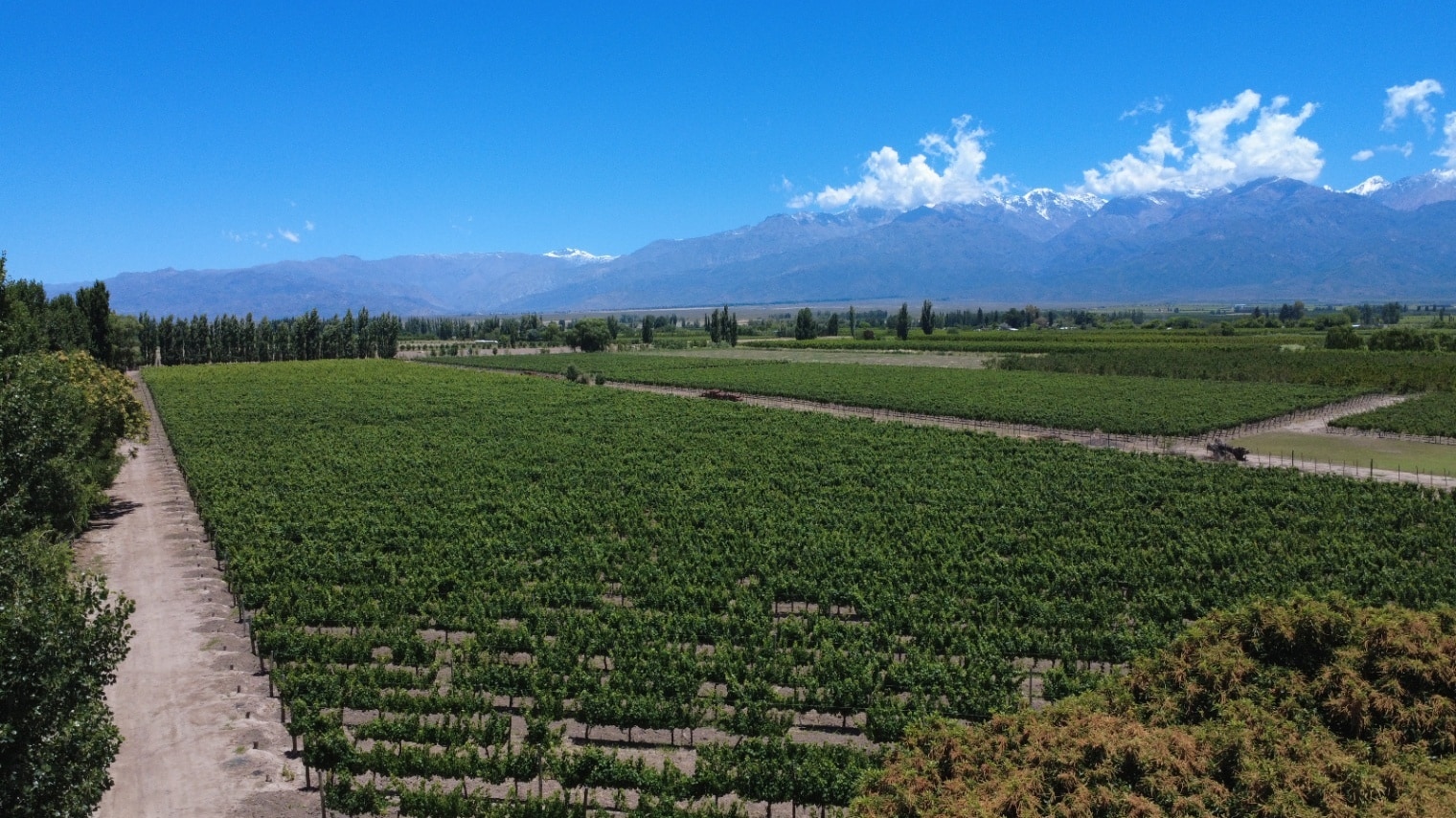 Finca en Venta en Tunuyan, Mendoza