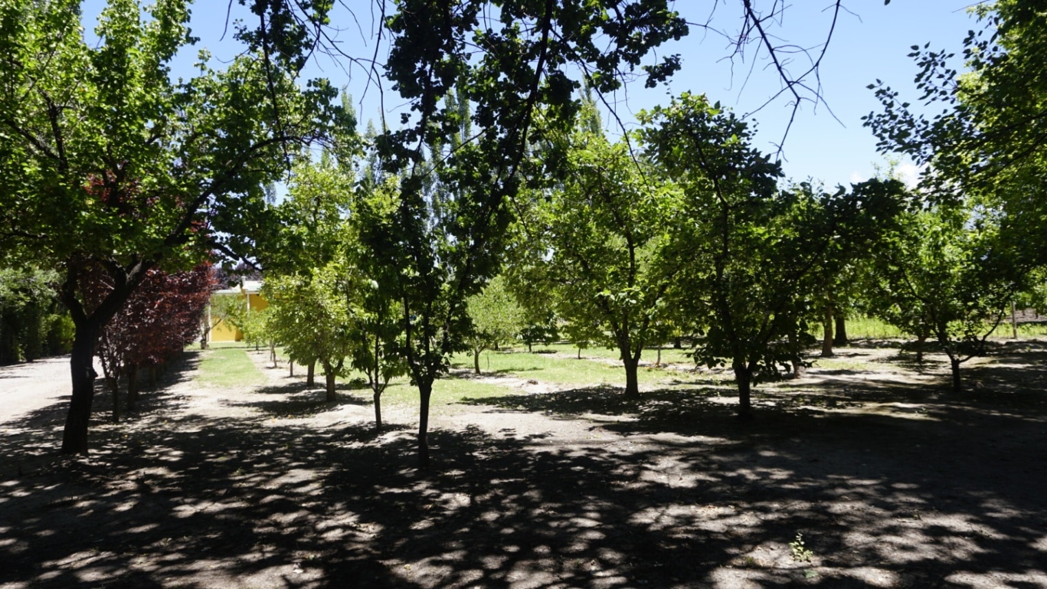 Finca en Venta en Tunuyan, Mendoza
