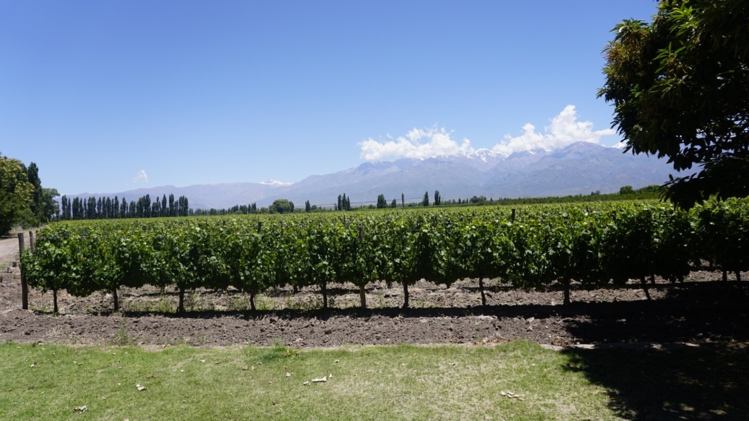 Finca en Venta en Tunuyan, Mendoza
