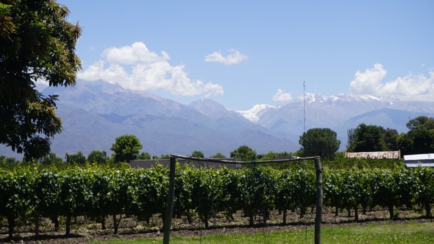 Finca en Venta en Tunuyan, Mendoza