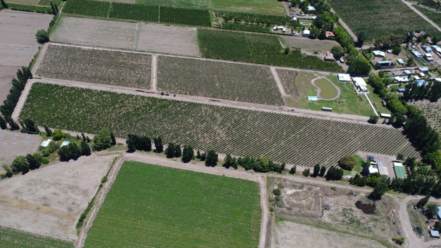 Finca en Venta en Tunuyan, Mendoza