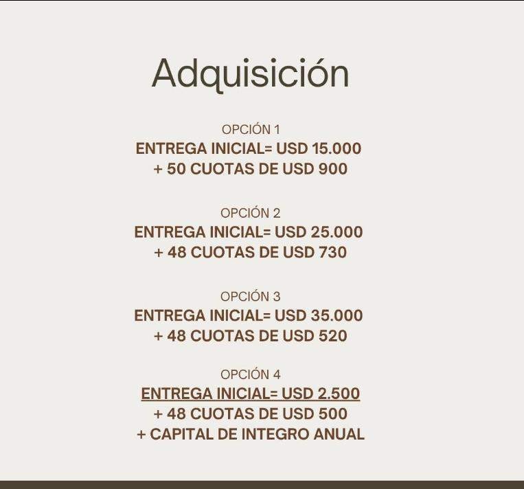 Imagen 7