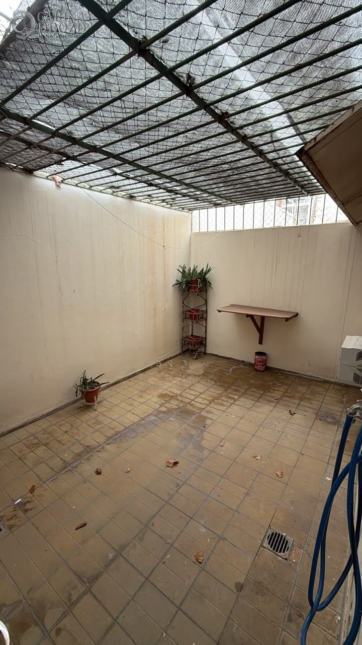 Imagen 5