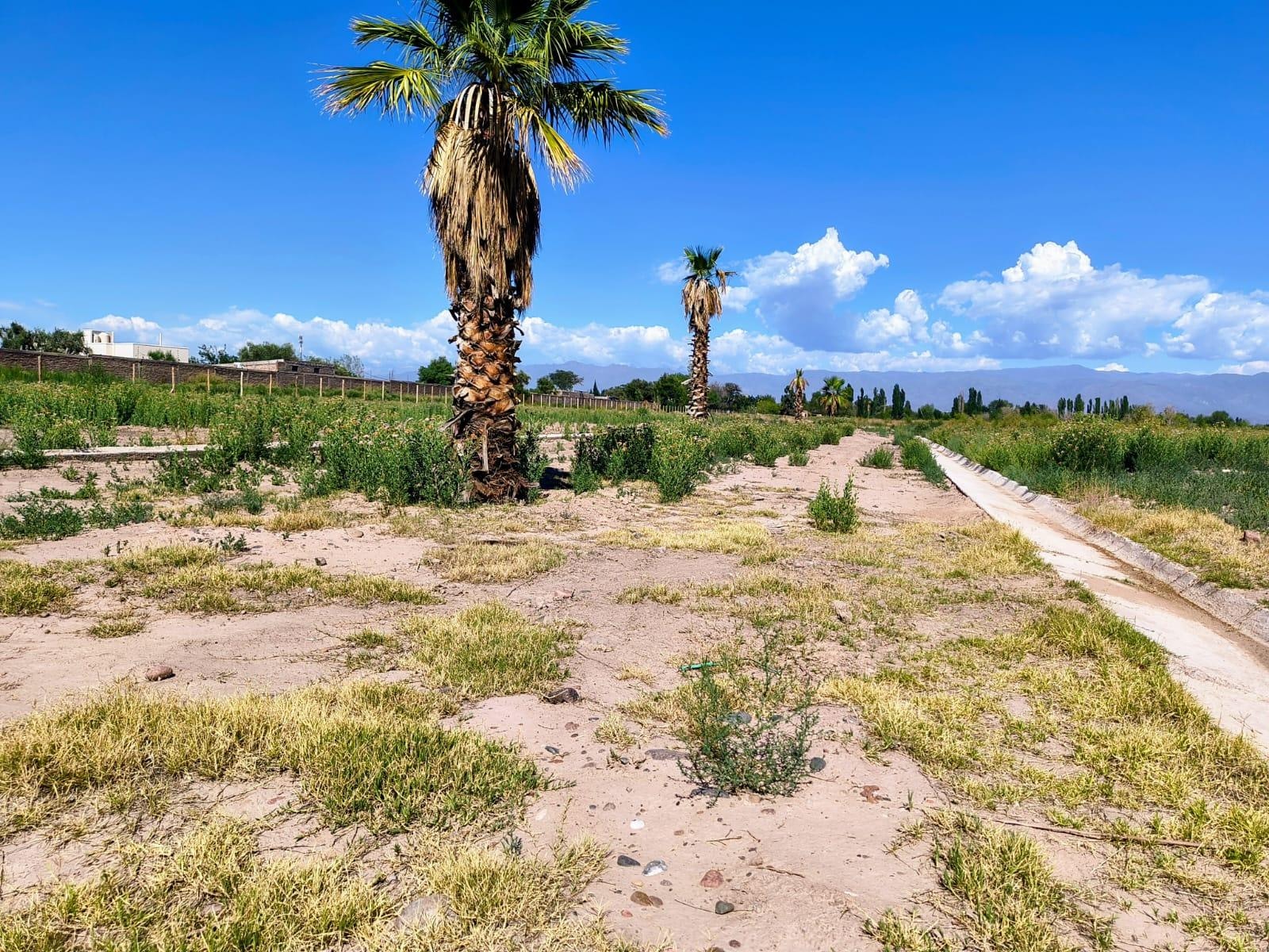 Terreno en Venta en Guaymallen, Mendoza