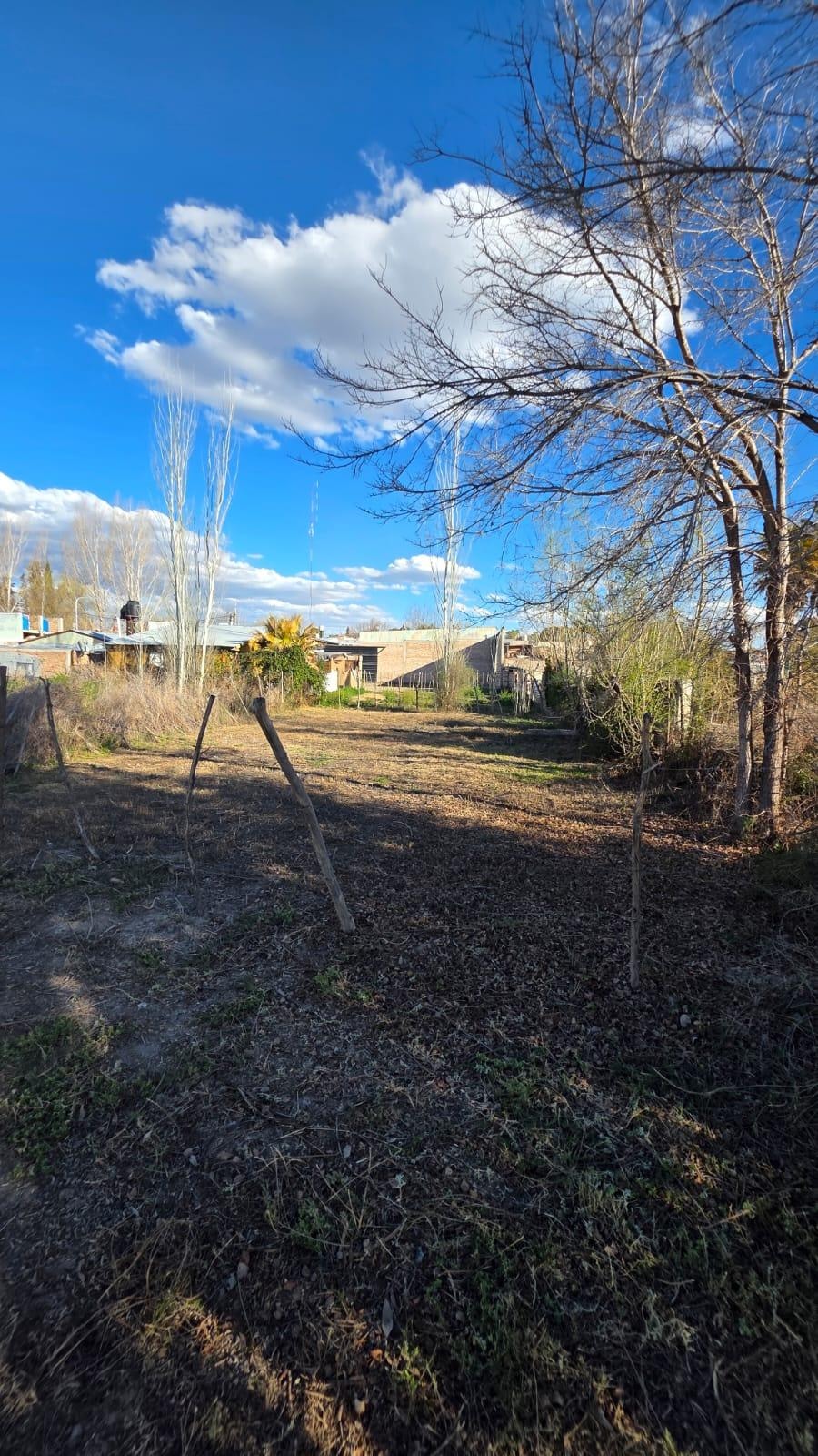 Terreno en Venta en Tunuyan, Mendoza