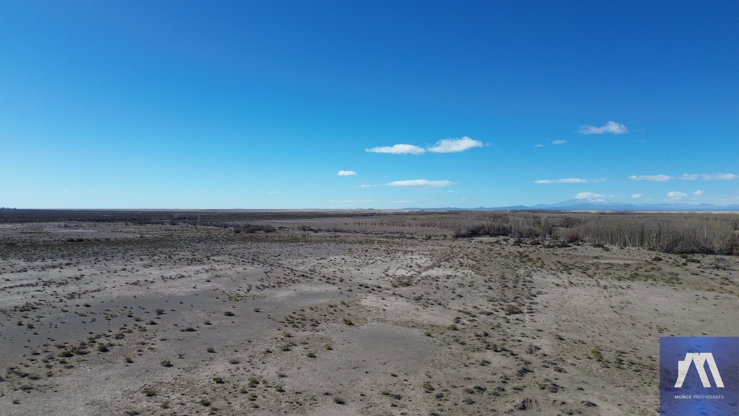 Campo en Venta en Malargue, Mendoza - USD 1.600.000 | Inmoup - 6