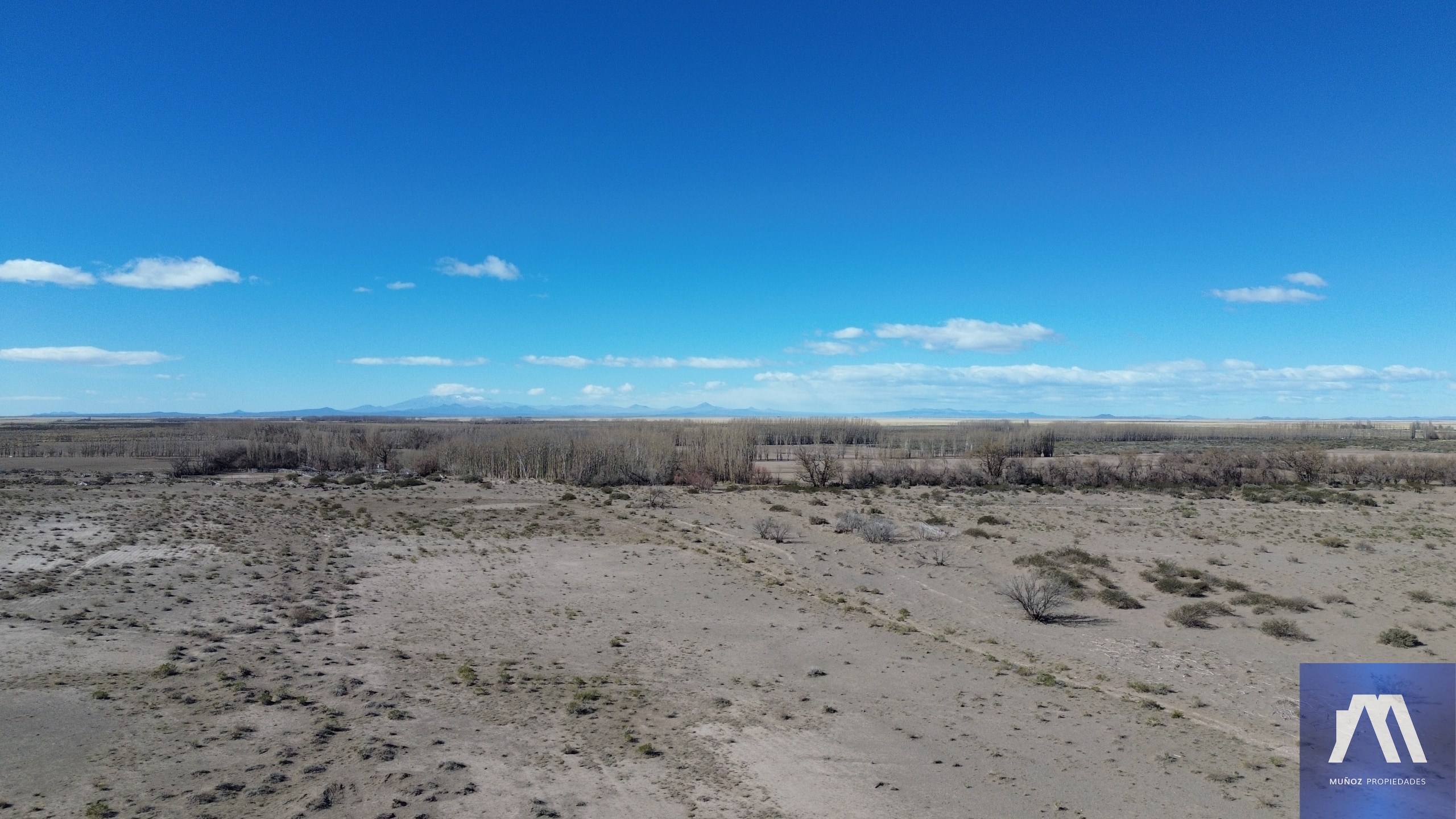 Campo en Venta en Malargue, Mendoza - USD 1.600.000 | Inmoup - 7