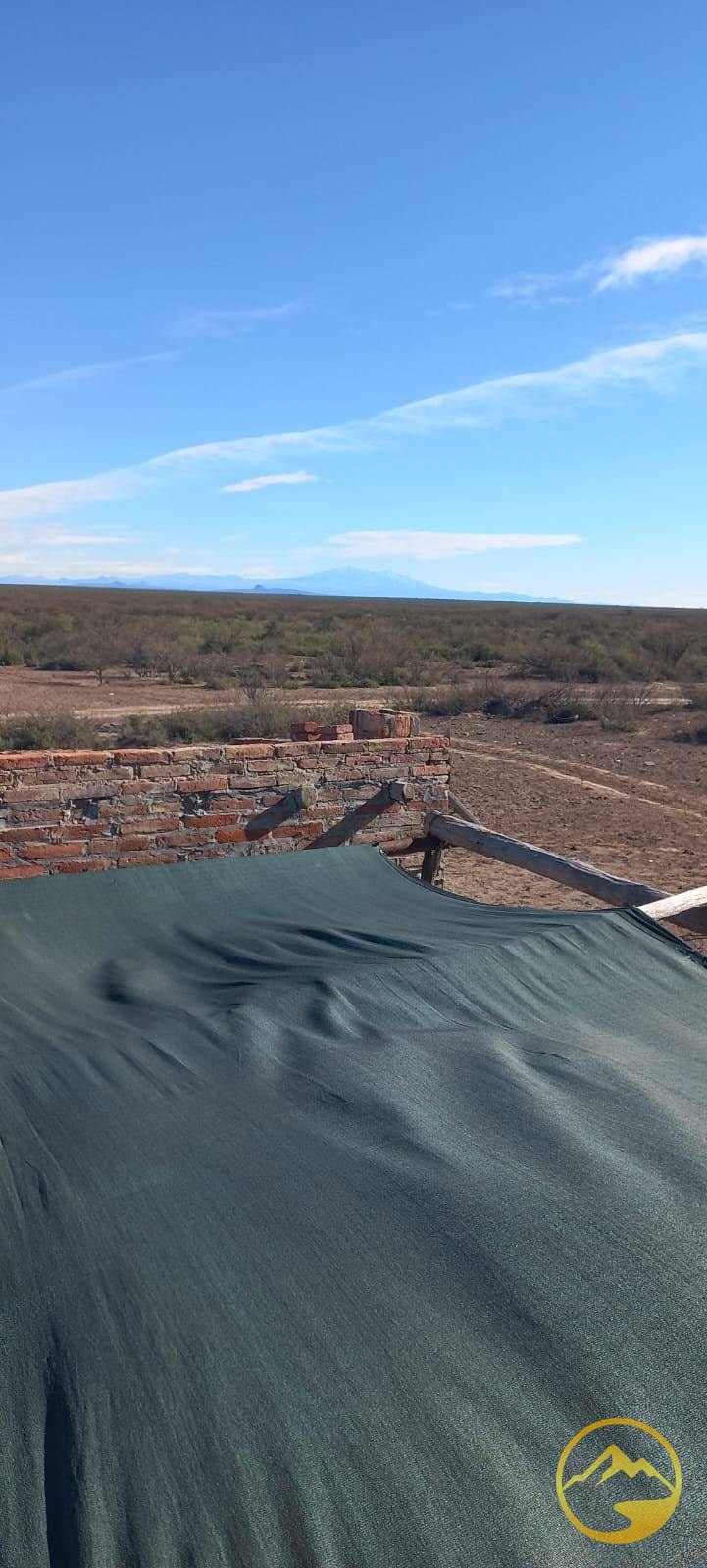 Finca en Venta en San Rafael, Mendoza