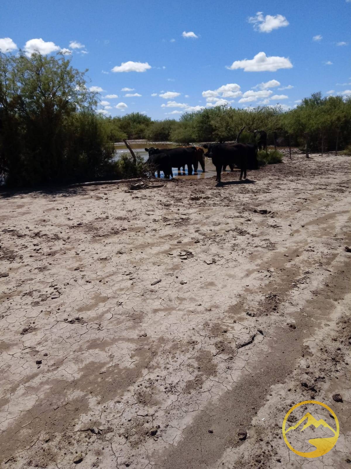 Finca en Venta en San Rafael, Mendoza