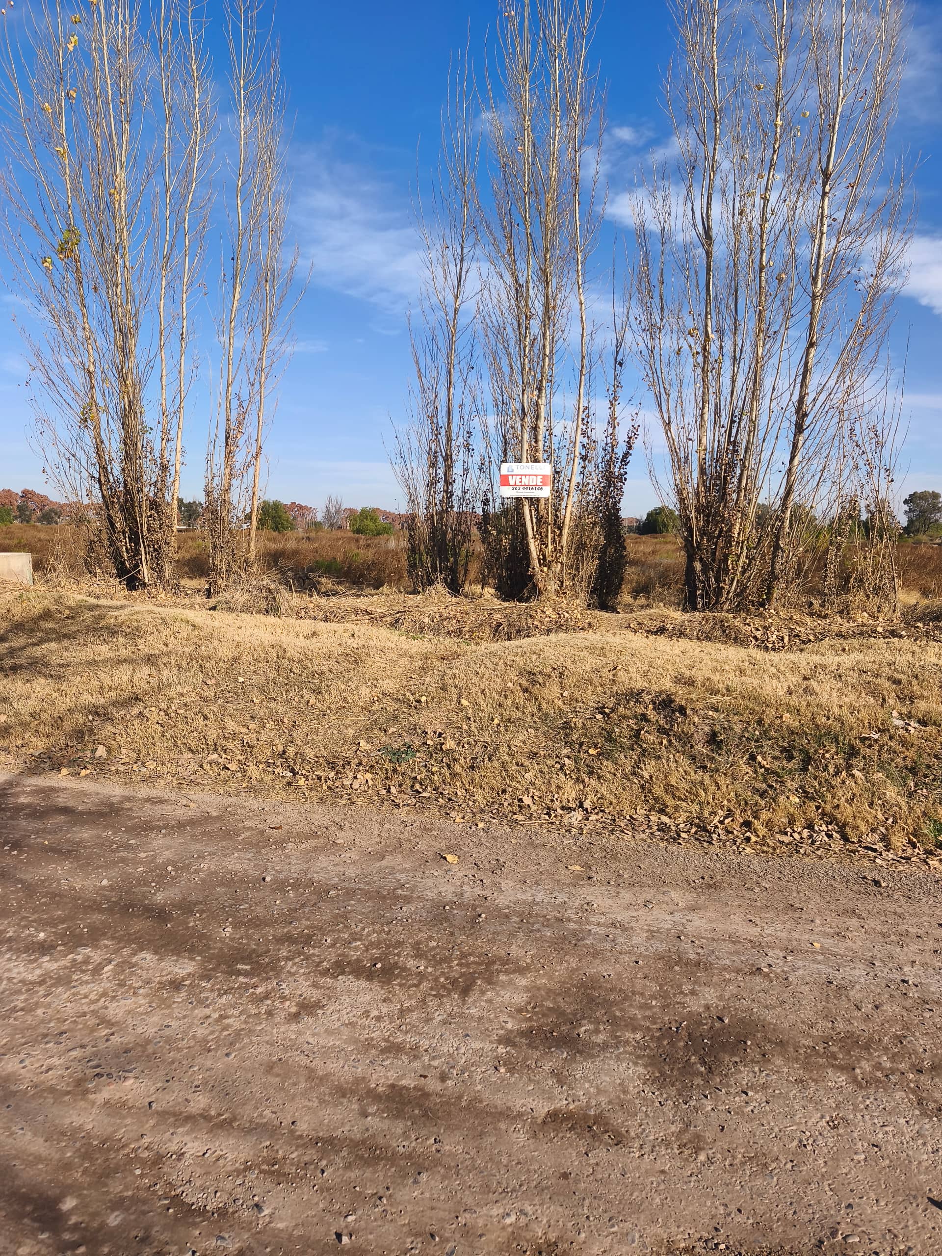 Terreno en Venta en Junin, Mendoza