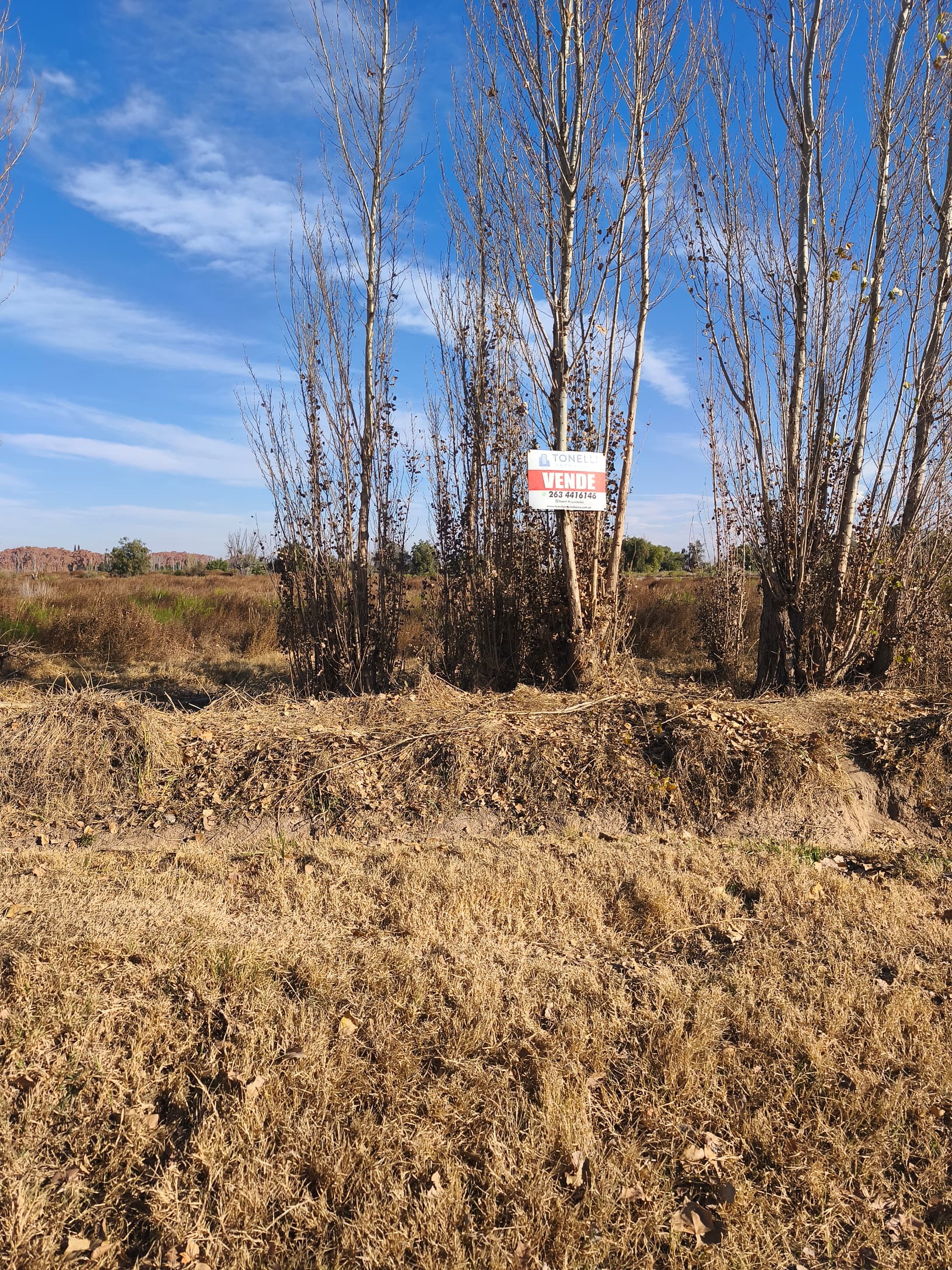 Terreno en Venta en Junin, Mendoza