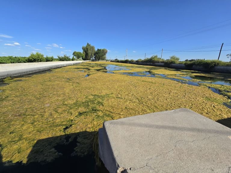 Finca en Venta en San Martin, Mendoza