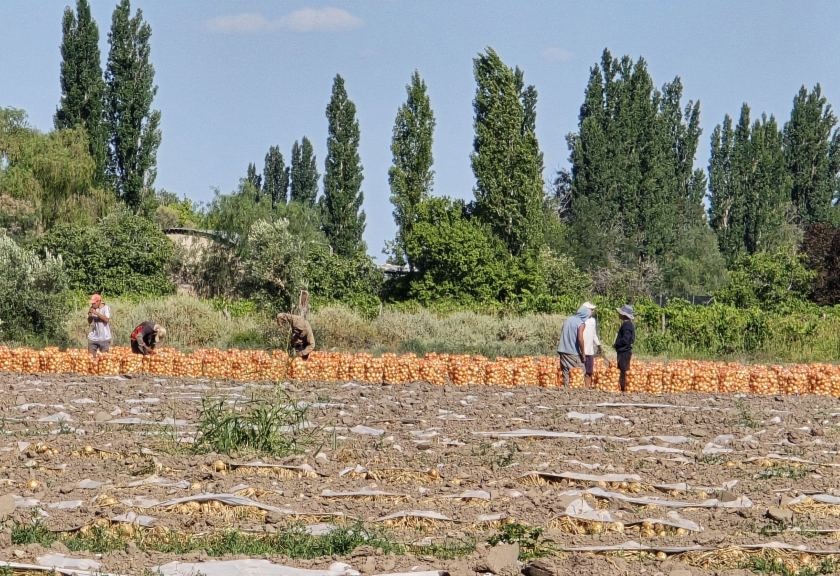 Finca en Venta en San Martin, Mendoza