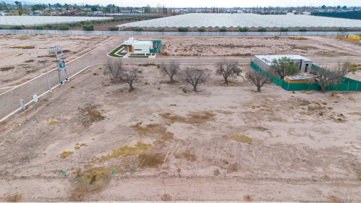 Terreno en Venta en Lujan de Cuyo, Mendoza