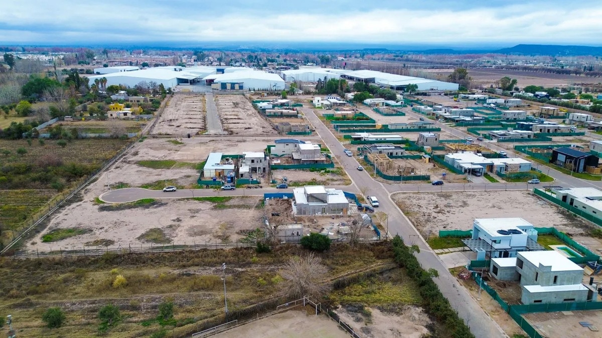Terreno en Venta en Lujan de Cuyo, Mendoza