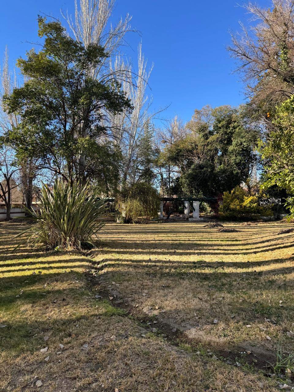 Terreno en Venta en Lujan de Cuyo, Mendoza