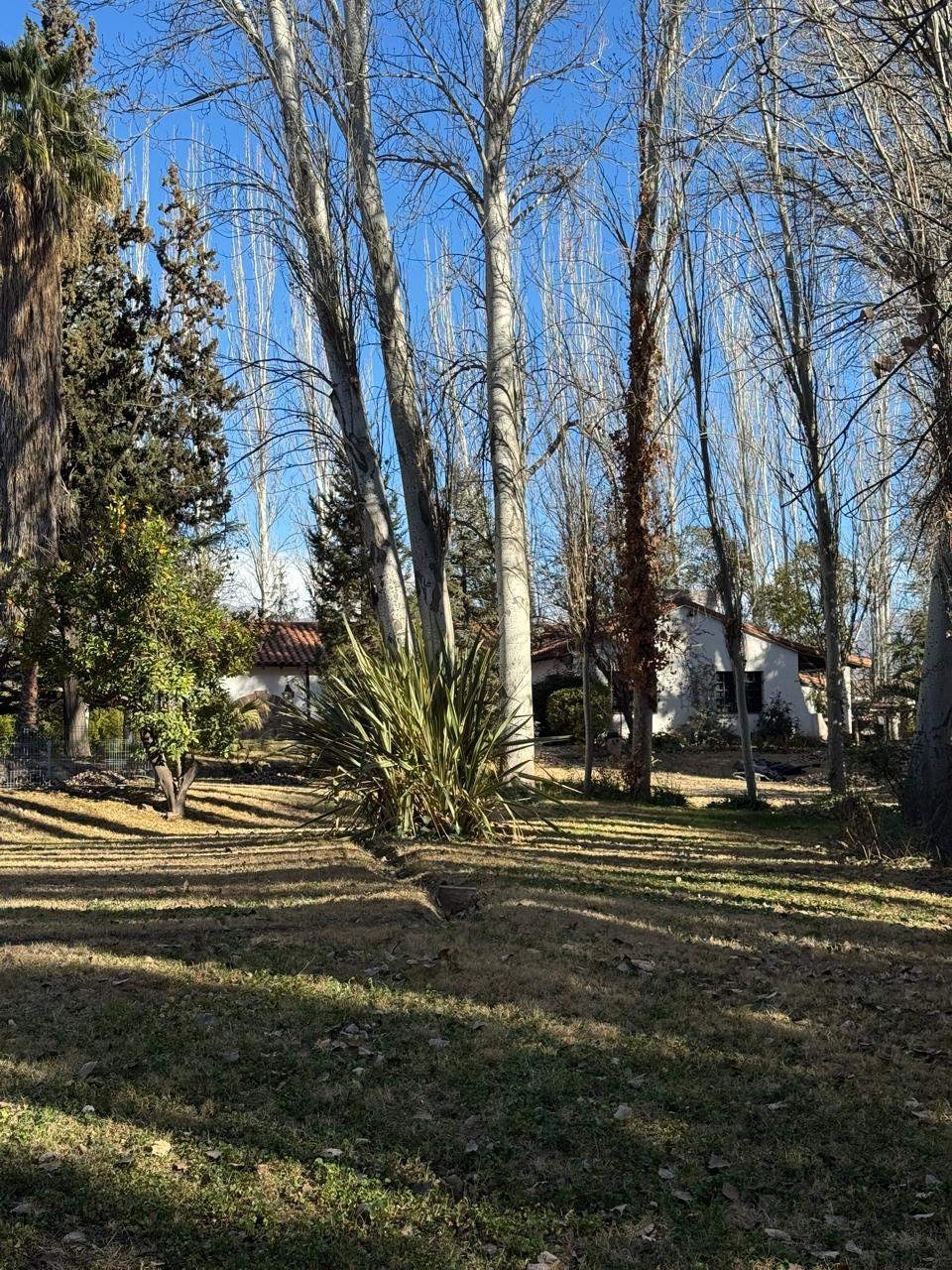 Terreno en Venta en Lujan de Cuyo, Mendoza