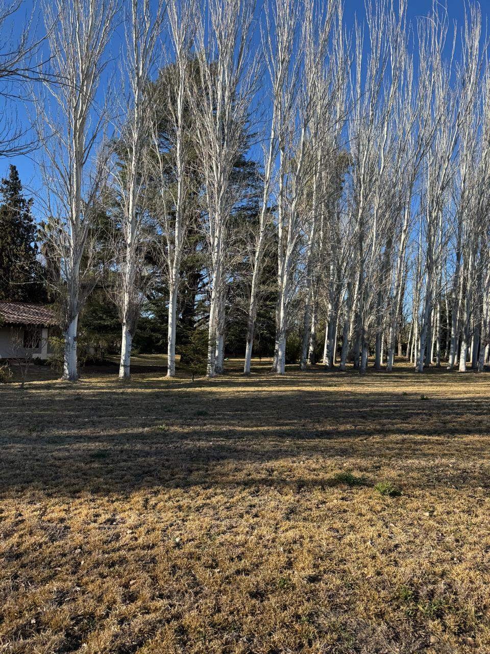 Terreno en Venta en Lujan de Cuyo, Mendoza