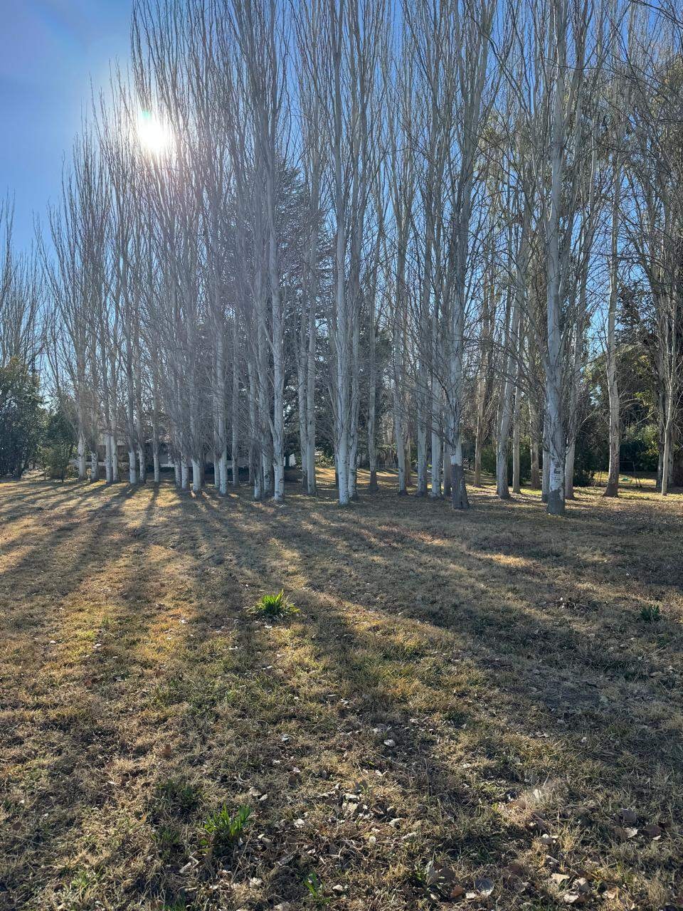 Terreno en Venta en Lujan de Cuyo, Mendoza