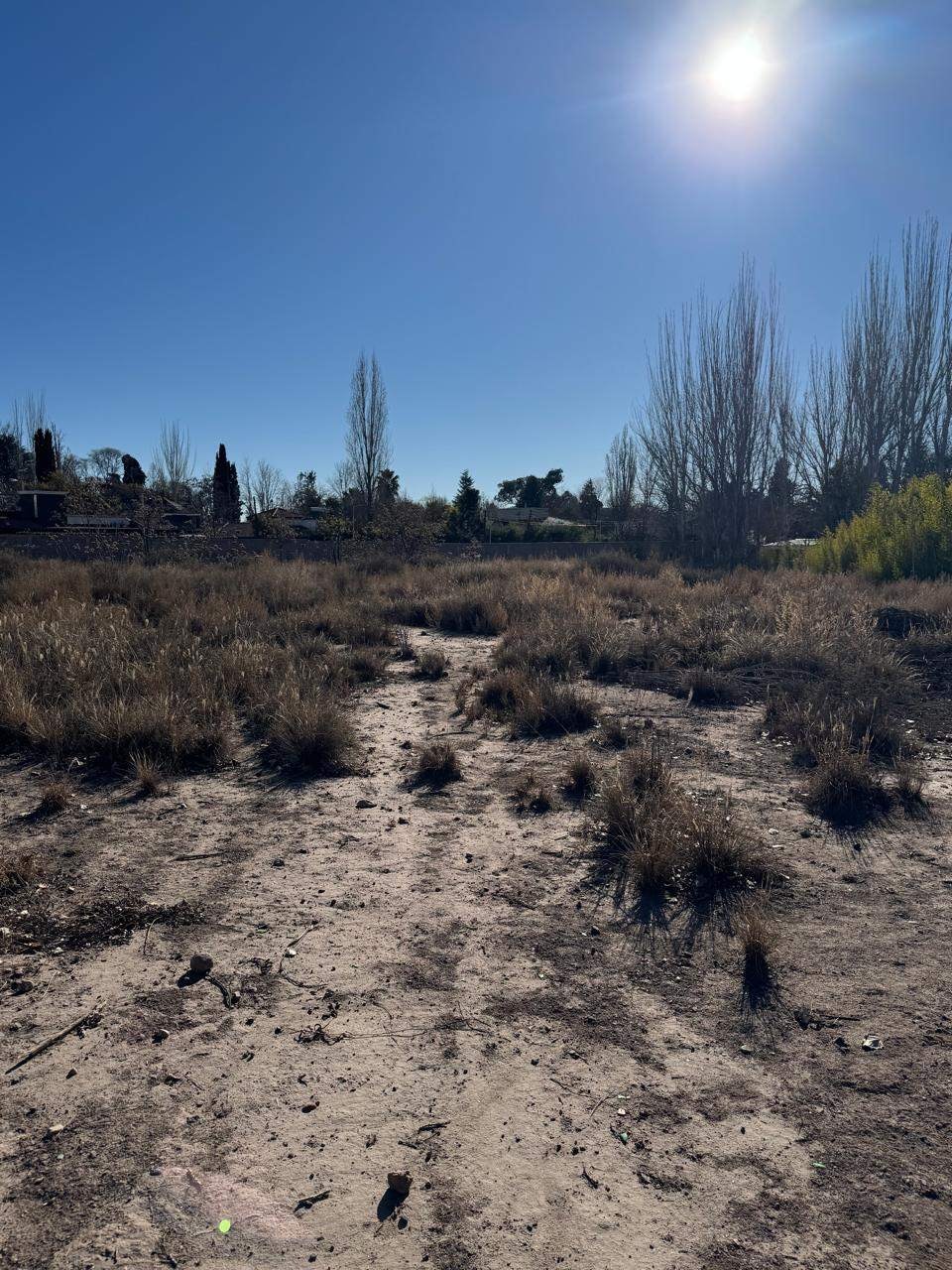 Terreno en Venta en Lujan de Cuyo, Mendoza