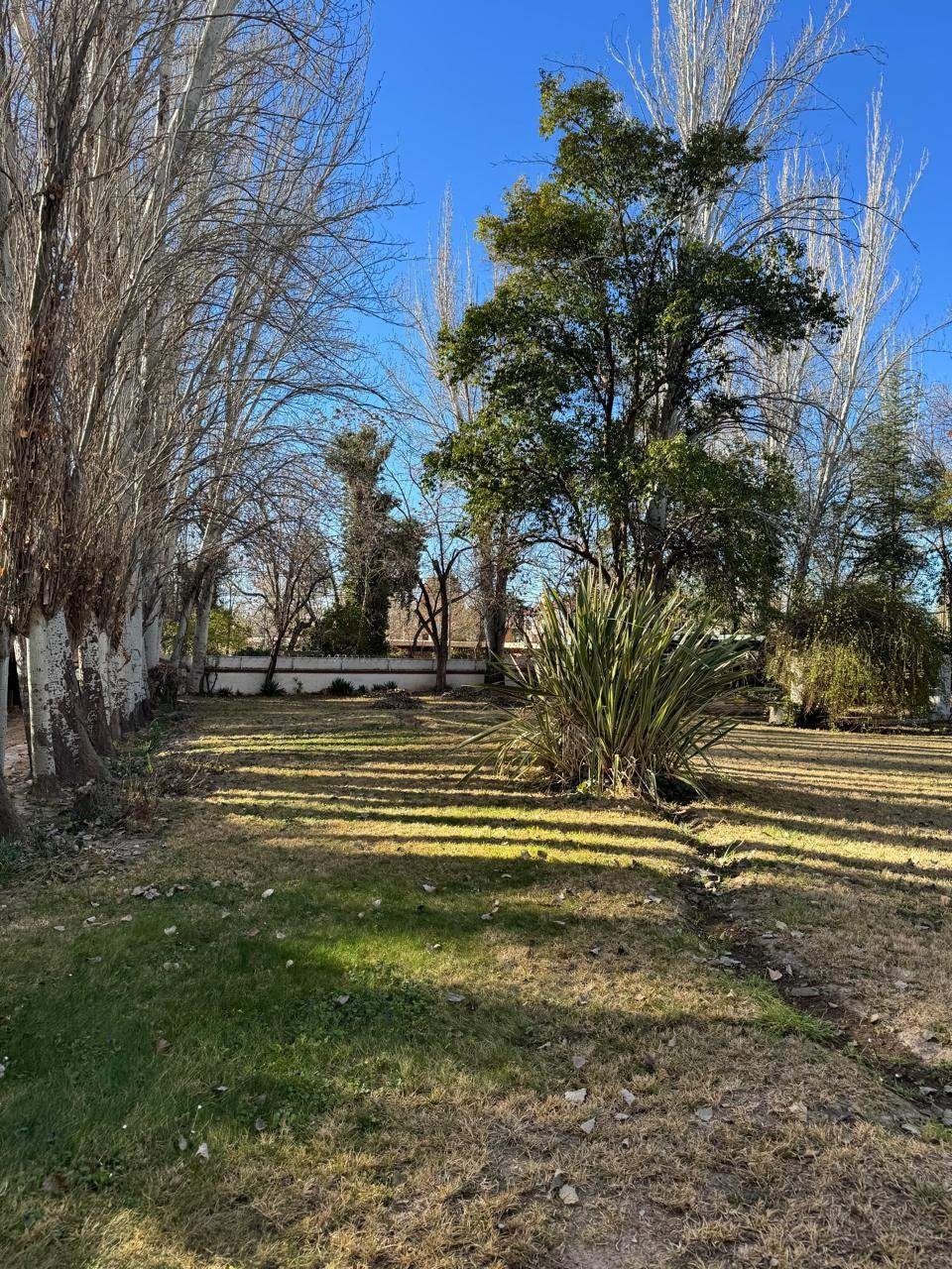 Terreno en Venta en Lujan de Cuyo, Mendoza