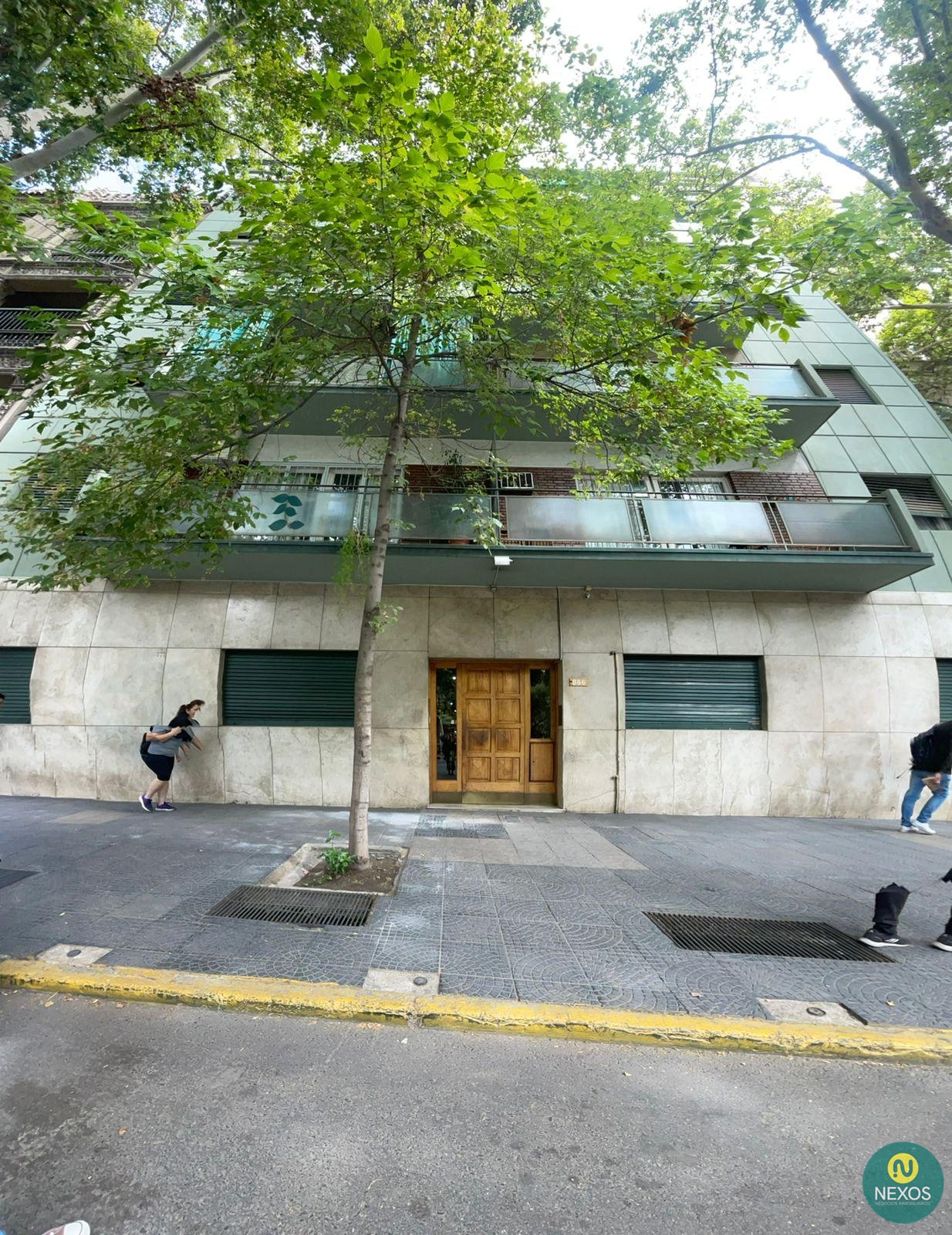 Imagen 5