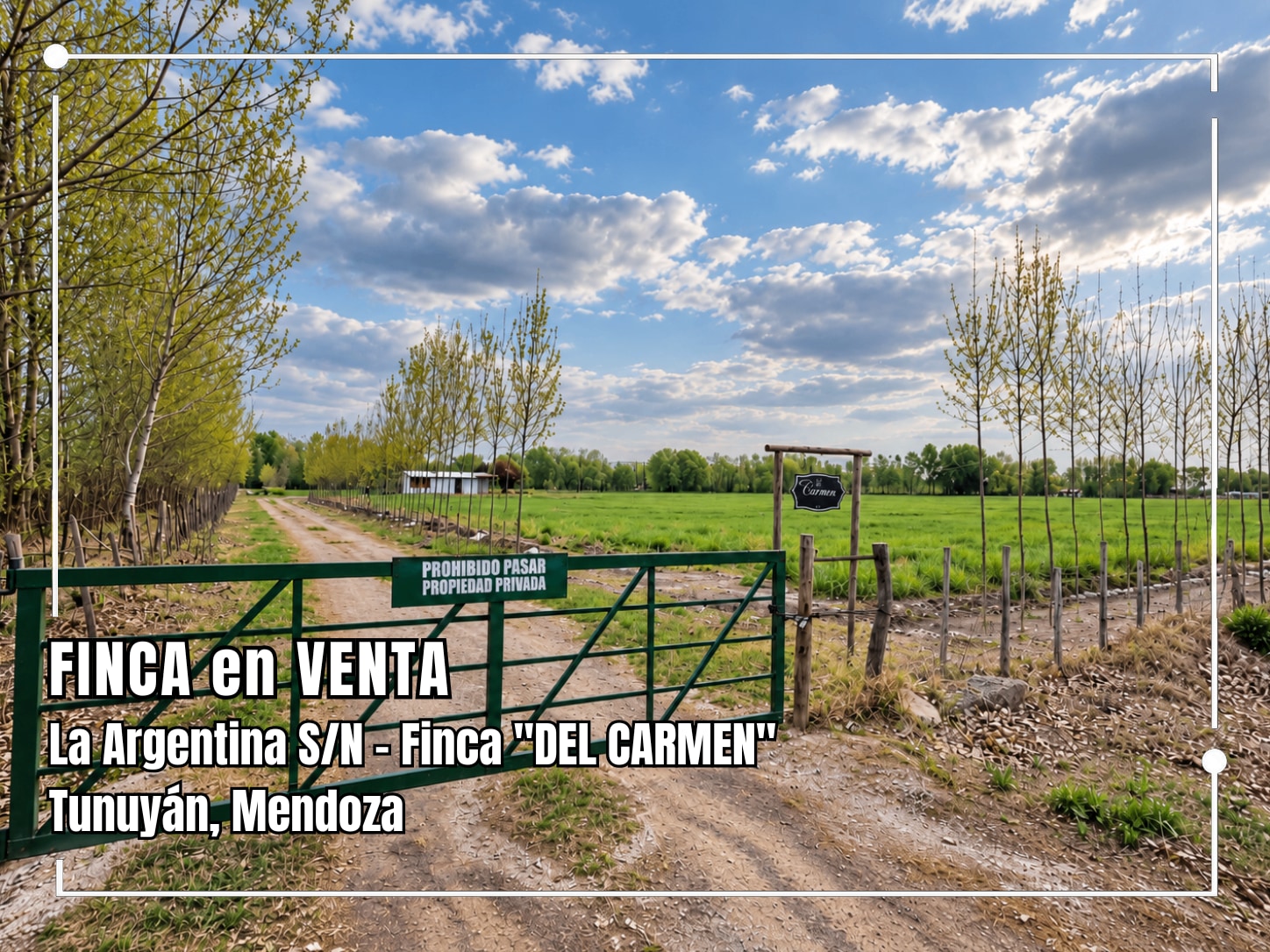 Finca en Venta en Tunuyan, Mendoza