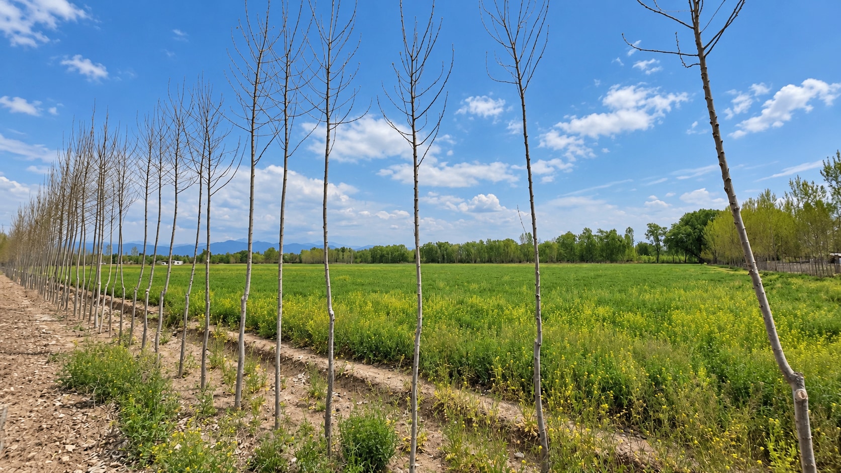 Finca en Venta en Tunuyan, Mendoza