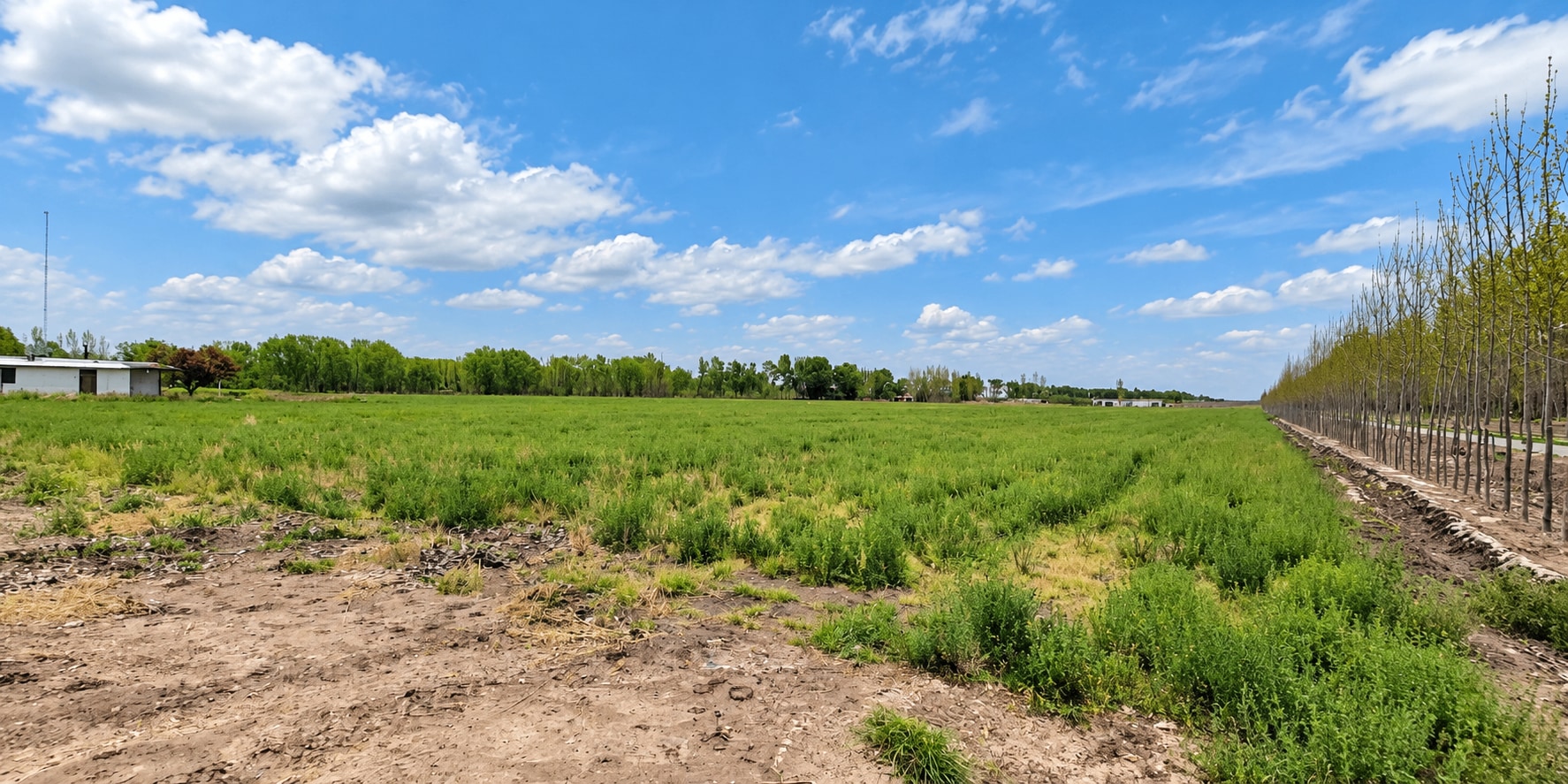 Finca en Venta en Tunuyan, Mendoza