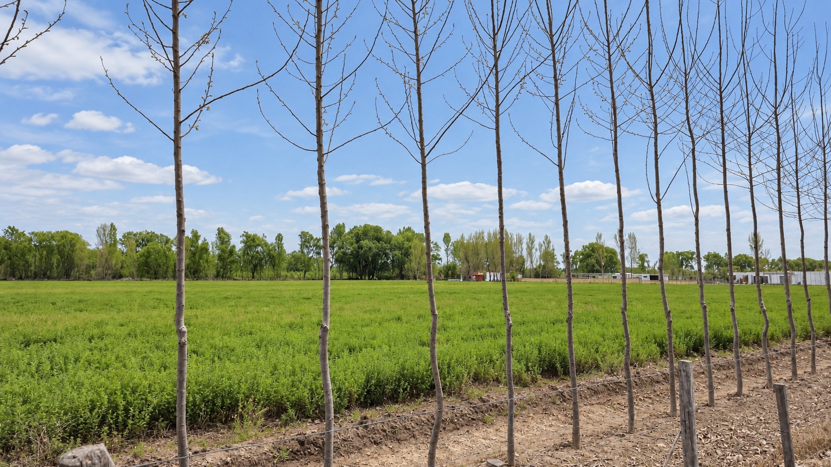 Finca en Venta en Tunuyan, Mendoza