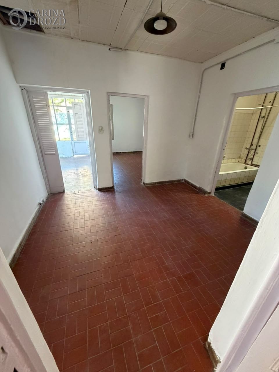 Imagen 5