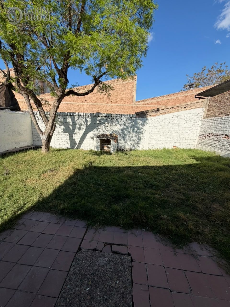 Imagen 18