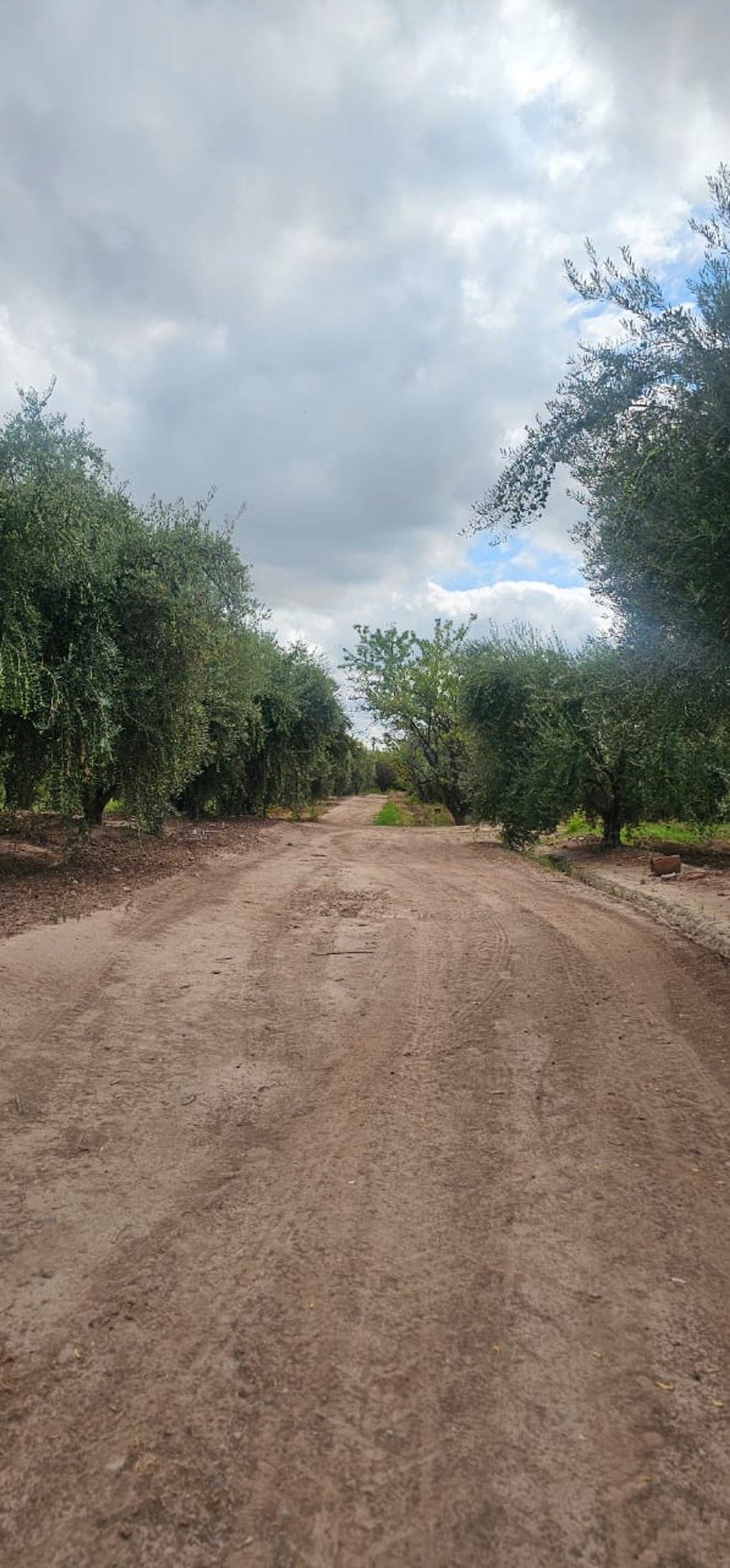 Terreno en Venta en Maipu, Mendoza