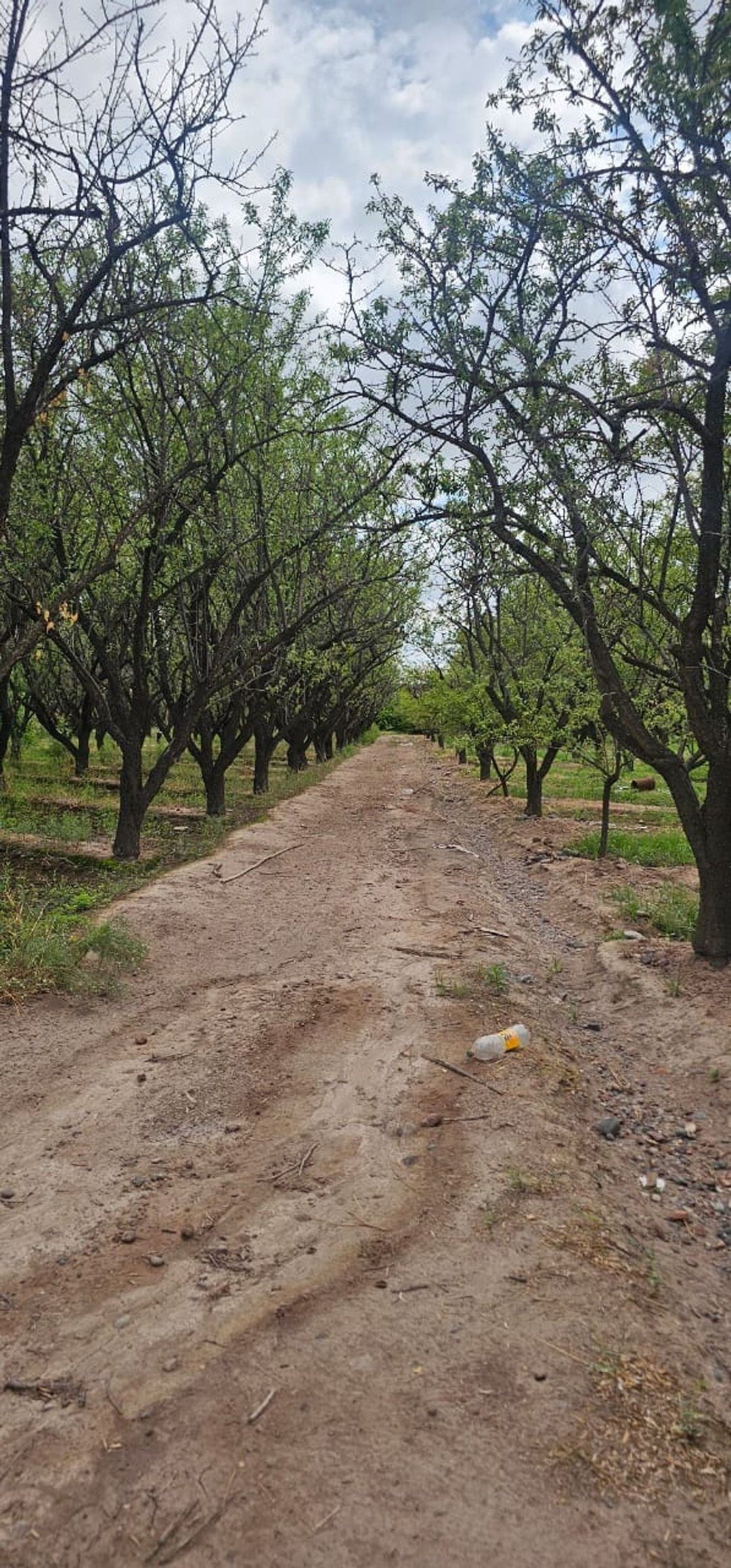 Terreno en Venta en Maipu, Mendoza