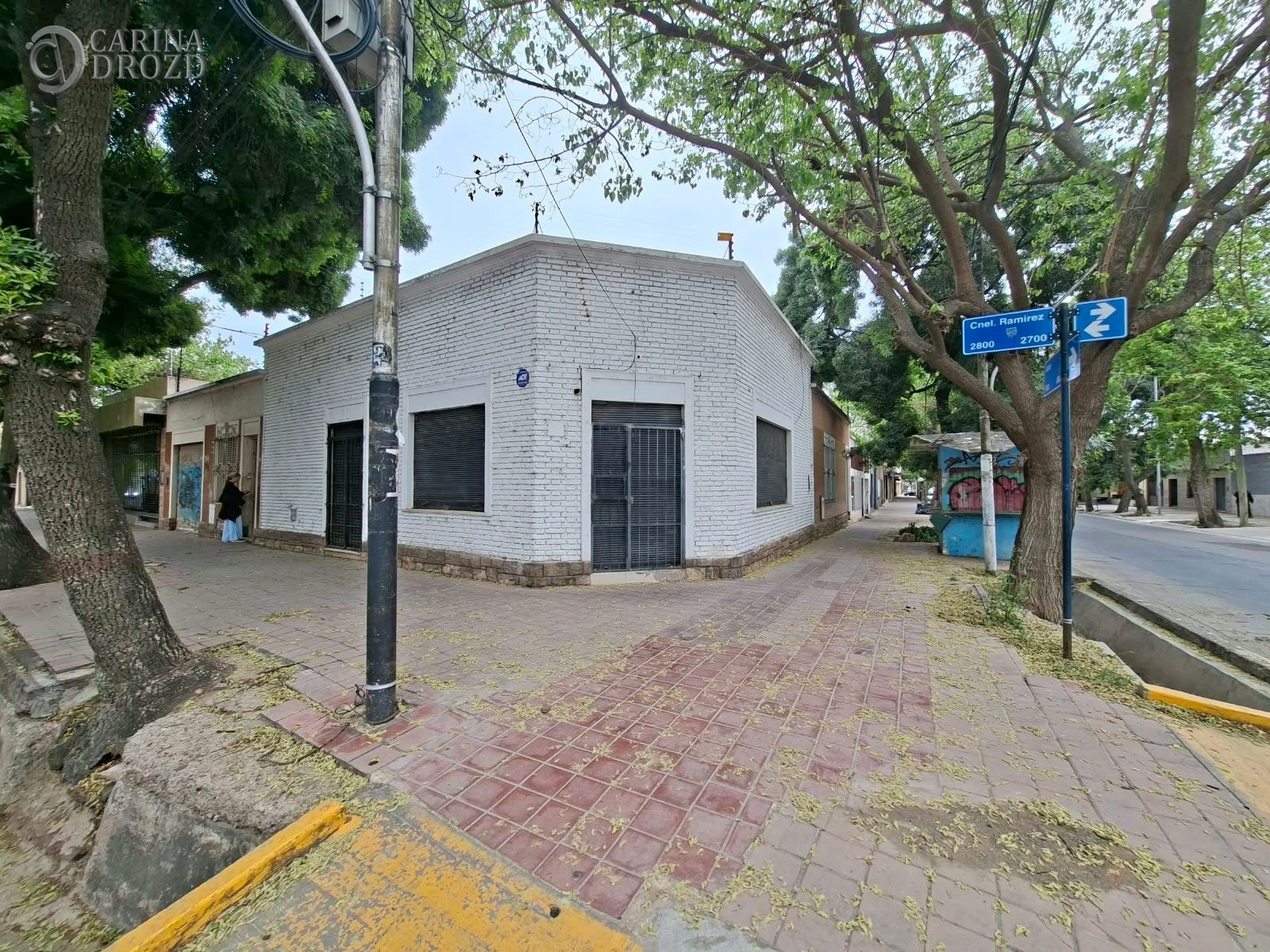 Imagen 10