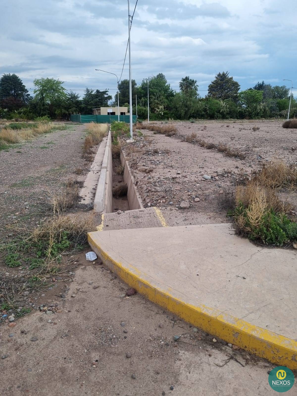 Imagen 6