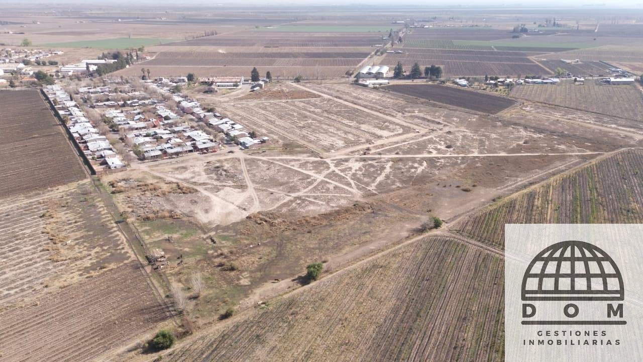 Terreno en Venta en San Carlos, Mendoza
