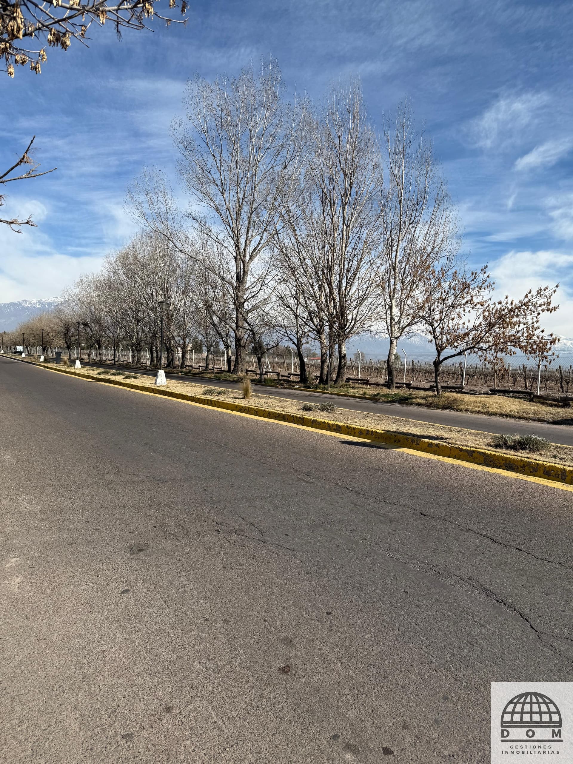 Terreno en Venta en San Carlos, Mendoza