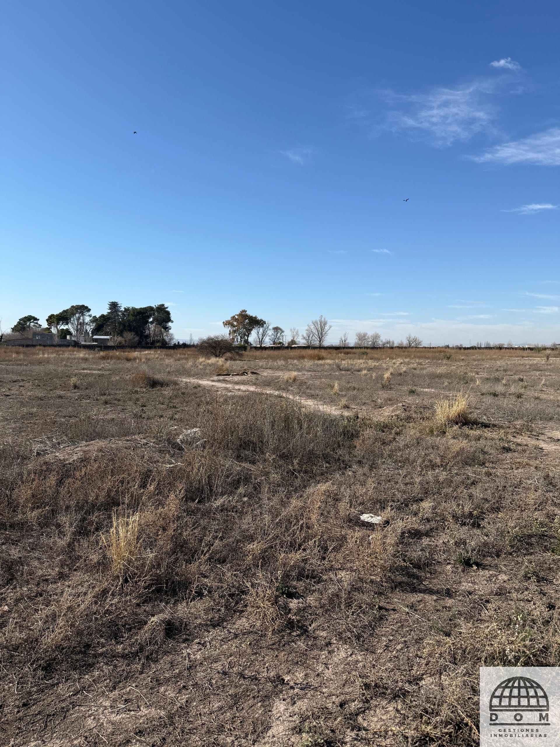 Terreno en Venta en San Carlos, Mendoza