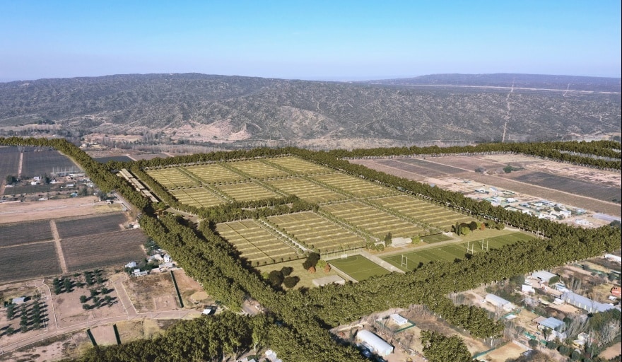 Lujan de Cuyo Olavarria y Terr